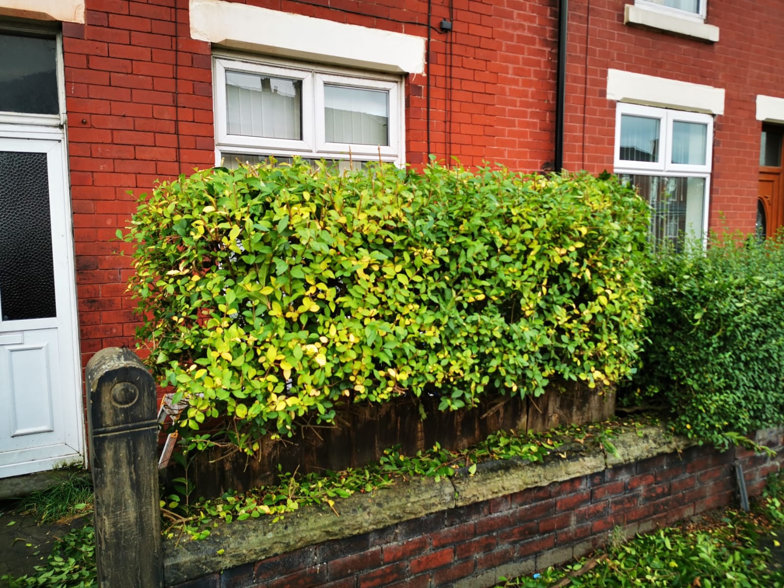 Landscaping Specialists Darwen, Chorley, Blackburn, Accrington